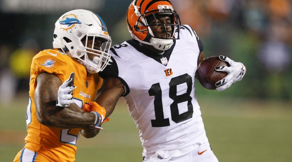 Bengals derrota en casa a Dolphins 22-7