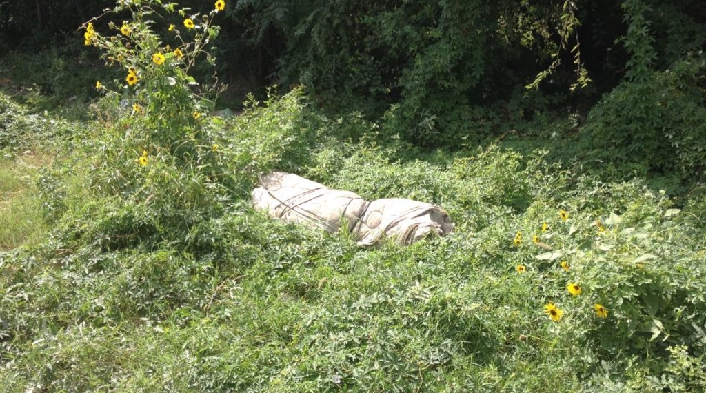 Supuesto encobijado resulta ser un perro muerto