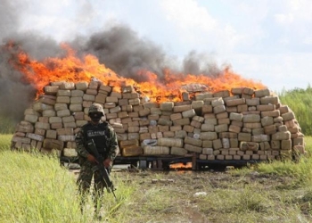 Toneladas de droga serán incineradas el viernes