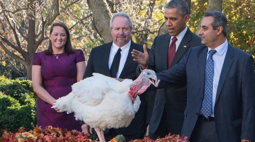 Obama indulta a dos pavos previo a Acción de Gracias