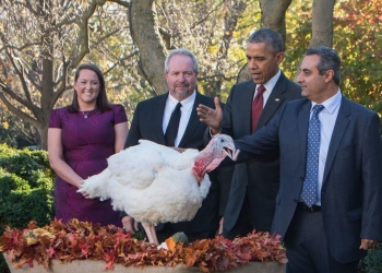 Obama indulta a dos pavos previo a Acción de Gracias