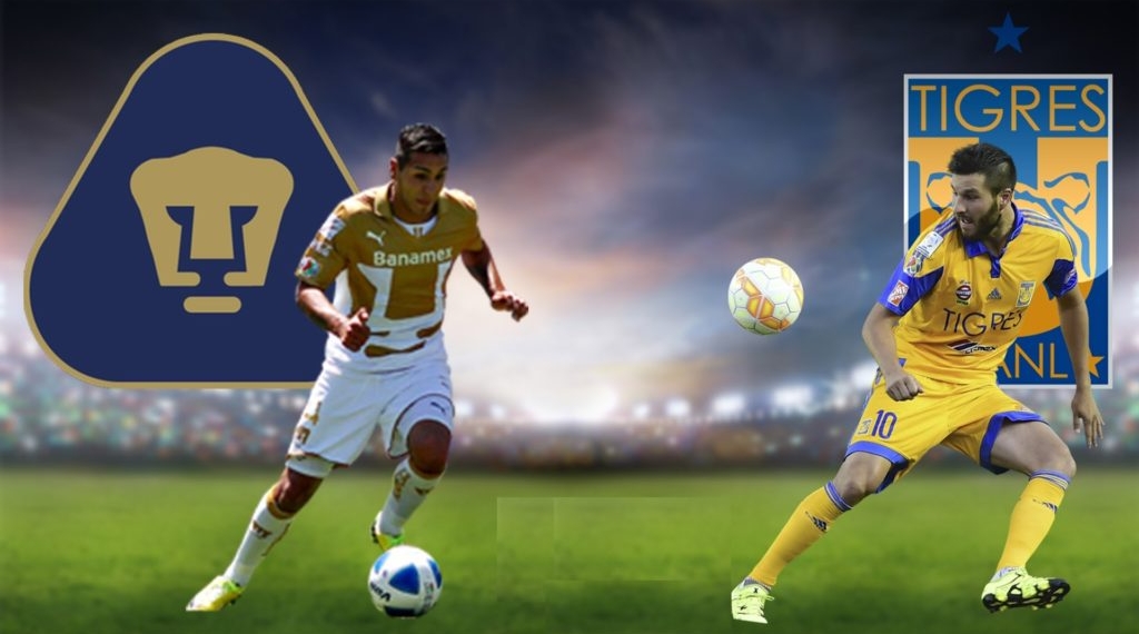 Hoy habrá duelo de garra entre Felinos en la Liguilla