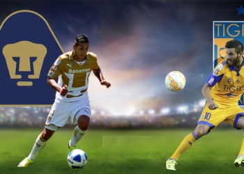 Hoy habrá duelo de garra entre Felinos en la Liguilla