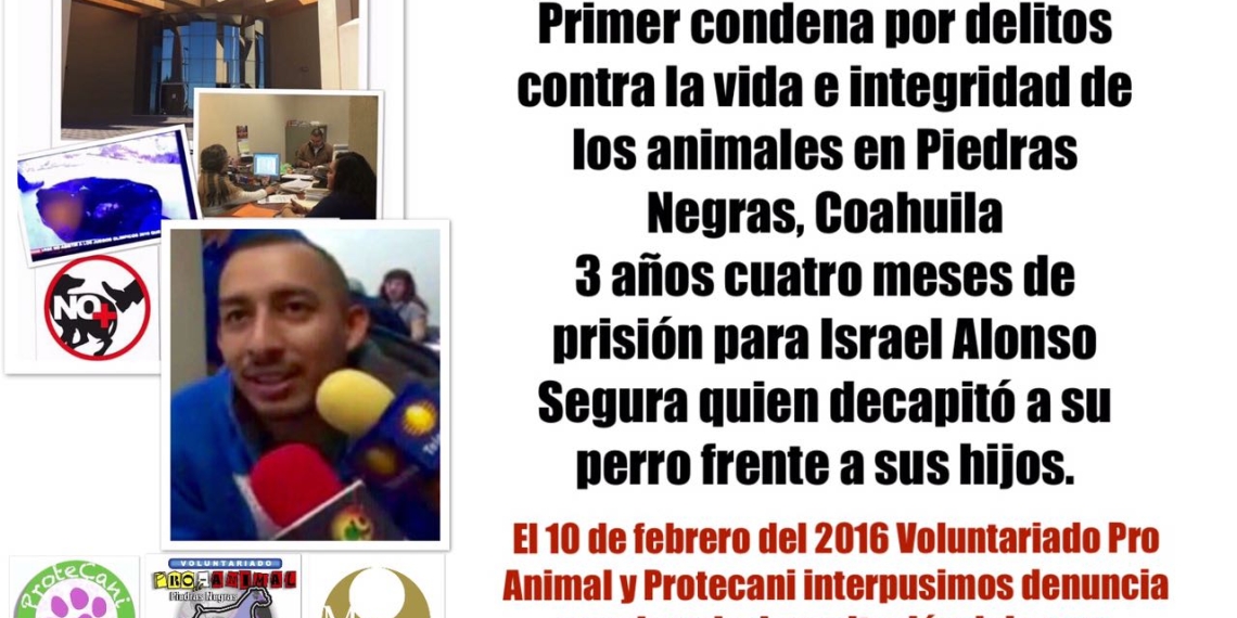 Dictan primera sentencia por maltrato animal en Piedras Negras
