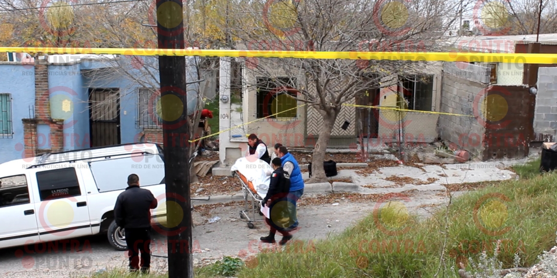 Perros devoran las piernas de una mujer muerta