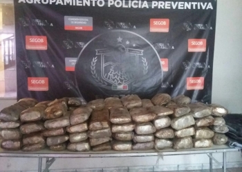 Decomisa Fuerza Coahuila más de 100 kilos de marihuana