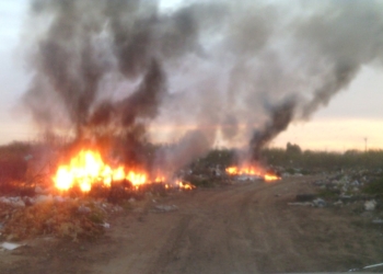Viento provoca incendios en predios baldíos