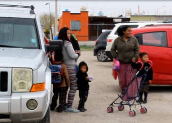 Evacuan jardín de niños por presencia de un enjambre de abejas