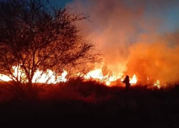 Arde enorme basurero clandestino