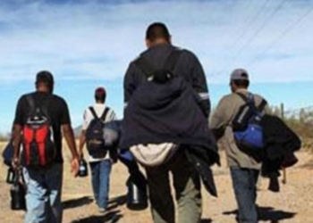 Diariamente EU regresa entre 400 y 500 migrantes mexicanos
