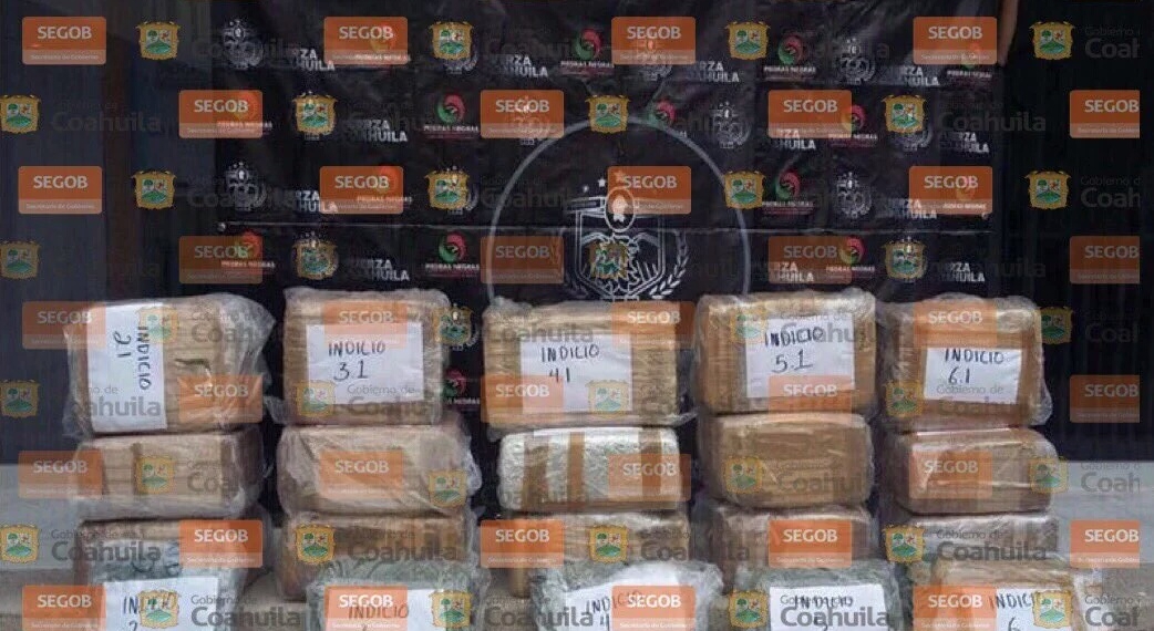 Decomisa Fuerza Coahuila más de 100 kilos de marihuana