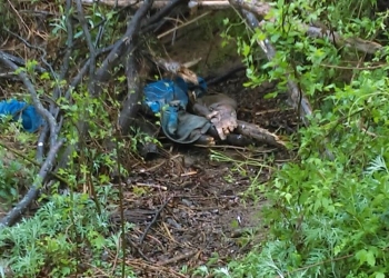 Localizan a persona muerta en un rancho