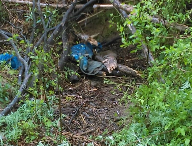 Localizan a persona muerta en un rancho