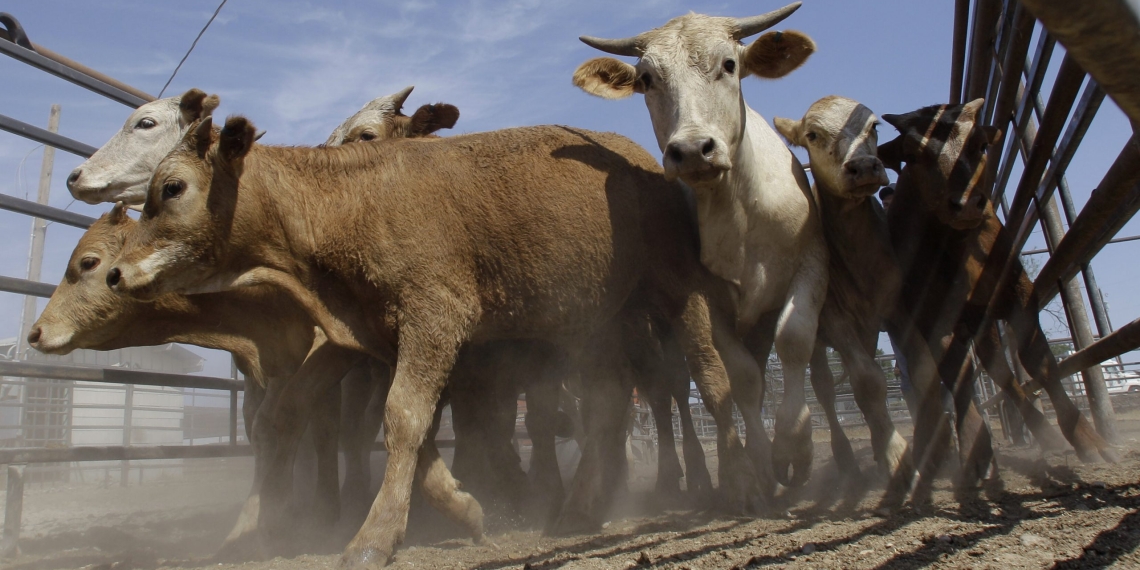 Coahuila a la vanguardia en cuanto a la producción de carnes y lácteos