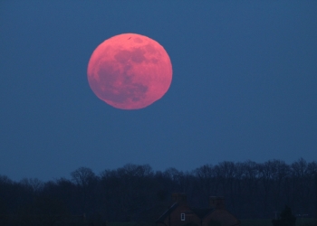 “Luna Rosa” iluminará el cielo esta noche