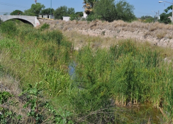 Continúa limpieza en calles y arroyos de Piedras Negras