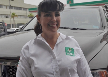 Salud, medio ambiente y empleo principales problemas de la ciudadanía; candidata PVEM