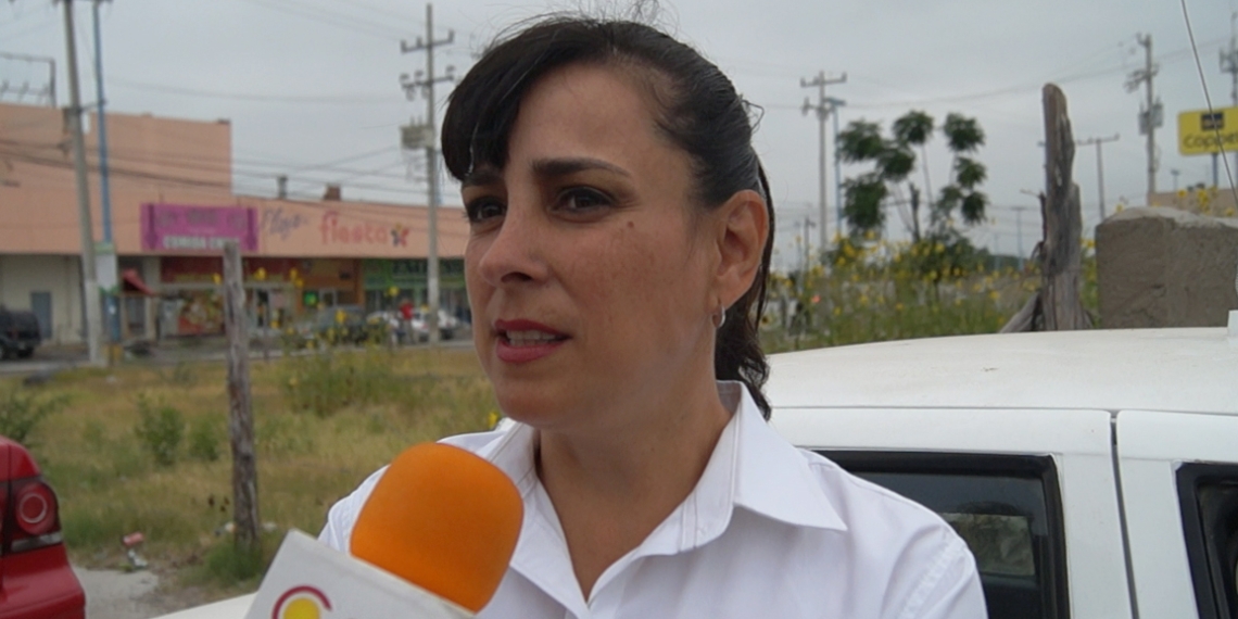 Candidata del PVEM continúa con los recorridos de campaña