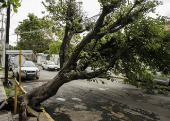 Fuerte viento causa estragos menores