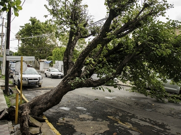 Fuerte viento causa estragos menores