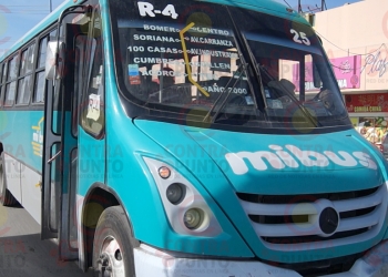 Cumple el 80 % del transporte público con refrendo