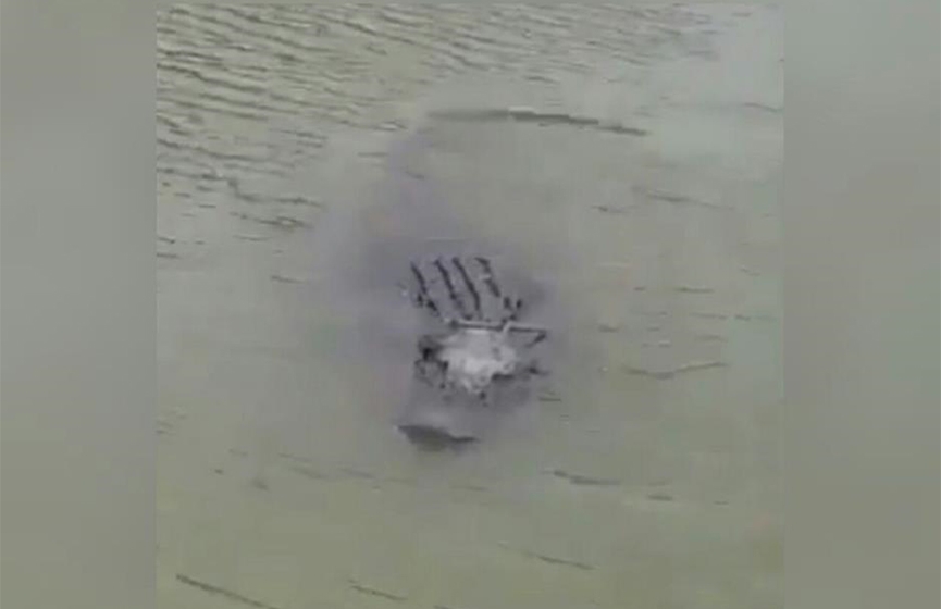 Captan por primera vez un caimán en el Río Bravo
