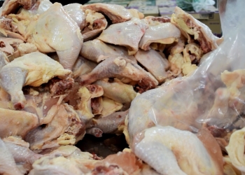 Pronostican escases del pollo para el fin de semana