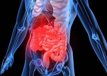 Extremar medidas de higiene en vacaciones previene gastroenteritis o intoxicación por alimentos