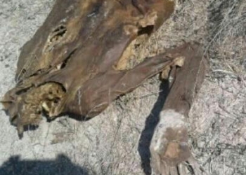Mujer ebria impacta su vehículo; dos menores la acompañaban