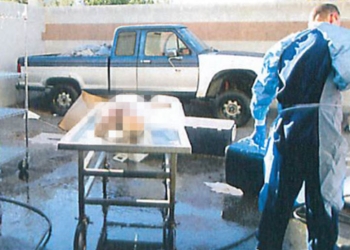 Compran dos cabezas humanas por 600 dólares en EU