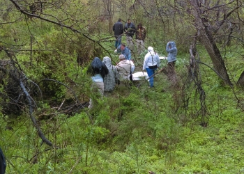 Amantes de lo ajeno hurtan becerro de un rancho
