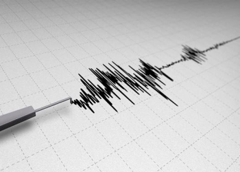 Sismo de 5.0 grados sacude a Chiapas