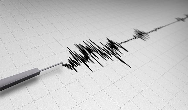 Sismo de 5.0 grados sacude a Chiapas