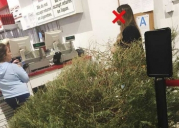Exige a tienda reembolso porque su árbol de Navidad estaba ‘muerto’