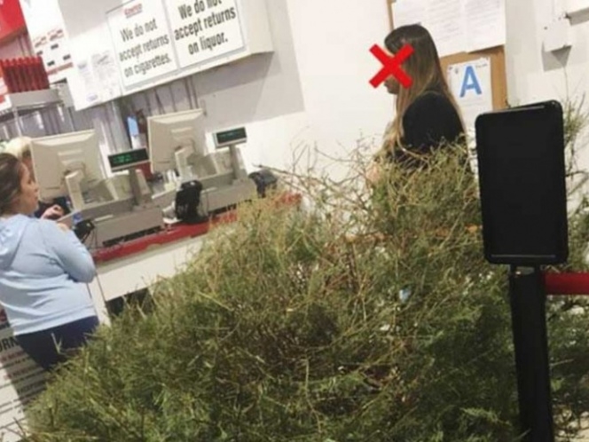 Exige a tienda reembolso porque su árbol de Navidad estaba ‘muerto’