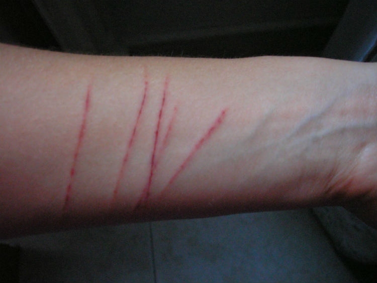 Reporte de supuesta violación provoca movilización