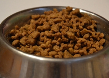 Retiran comida para perros contaminada con fármaco para eutanasia