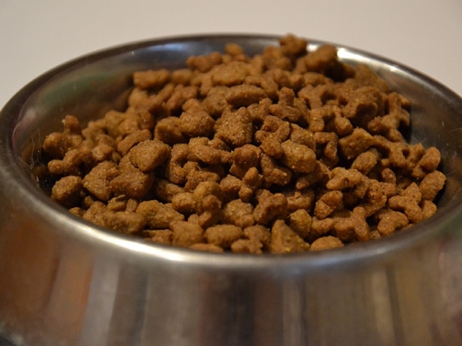 Retiran comida para perros contaminada con fármaco para eutanasia