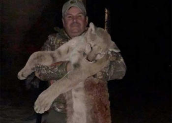 Exalcalde de Nuevo León también presume puma muerto