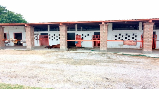 Balean finca de prestanombres de Yarrington; matan a un hombre y 15 caballos