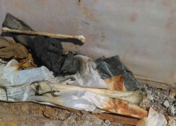 Siguen investigando paradero de restos humanos