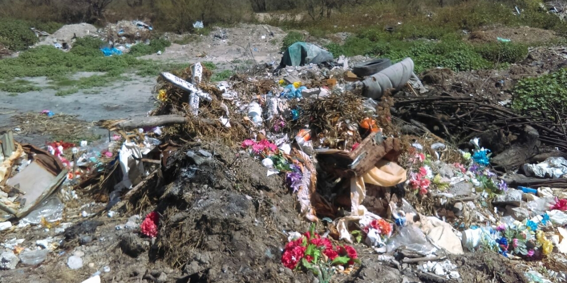 Aparecen huesos en predio baldío