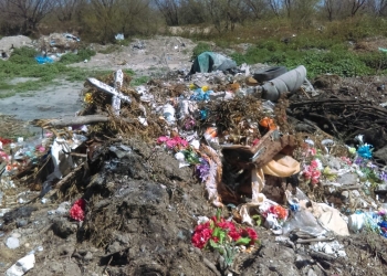 Aparecen huesos en predio baldío