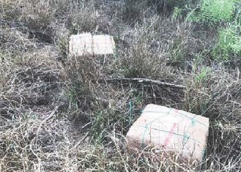 Decomisan cargas de droga valuada en 107 mil dólares