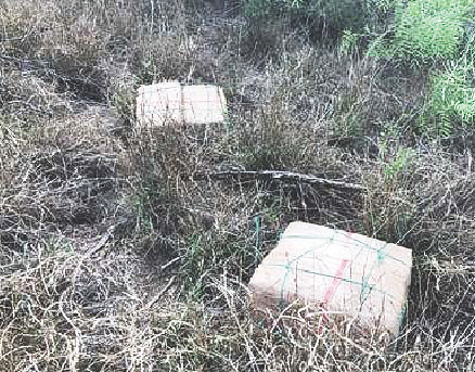 Decomisan cargas de droga valuada en 107 mil dólares