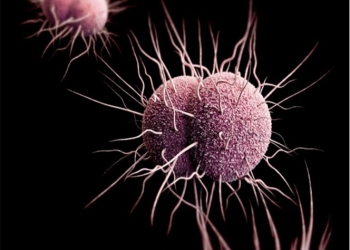Se registra el primer caso de ‘supergonorrea’