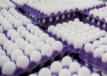 Retiran millones de huevos en EU por contaminación bacterial