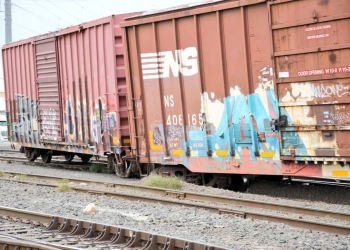 Descarrilan varios vagones del tren