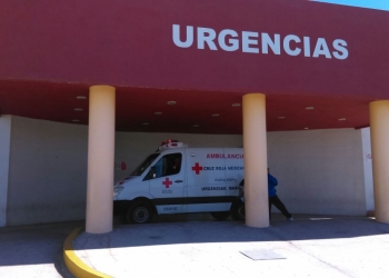Ingiere cantidad mínima de veneno