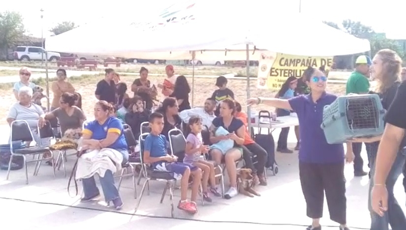 Exhortan a acudir a campañas de esterilización de mascotas